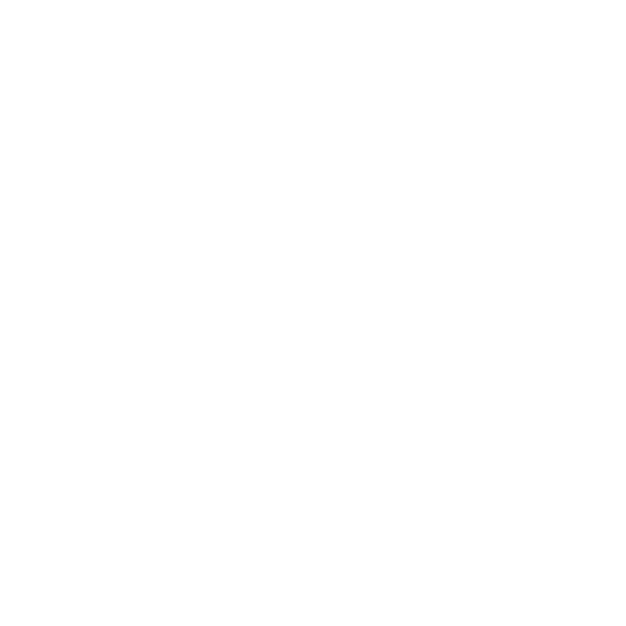 Paid Media Agency in Scottsdale AZ | Dallas McLaughlin